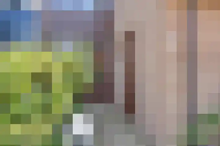 Van Beuningenplantsoen 7 Voorschoten thumbnail 6