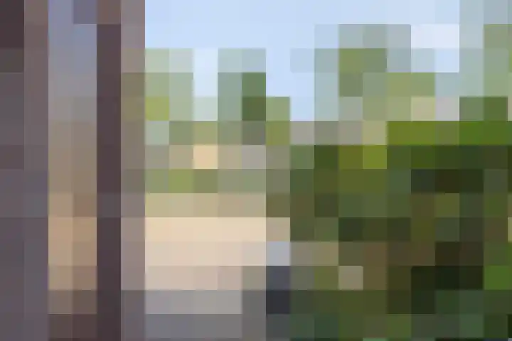 Van Beuningenplantsoen 7 Voorschoten thumbnail 7