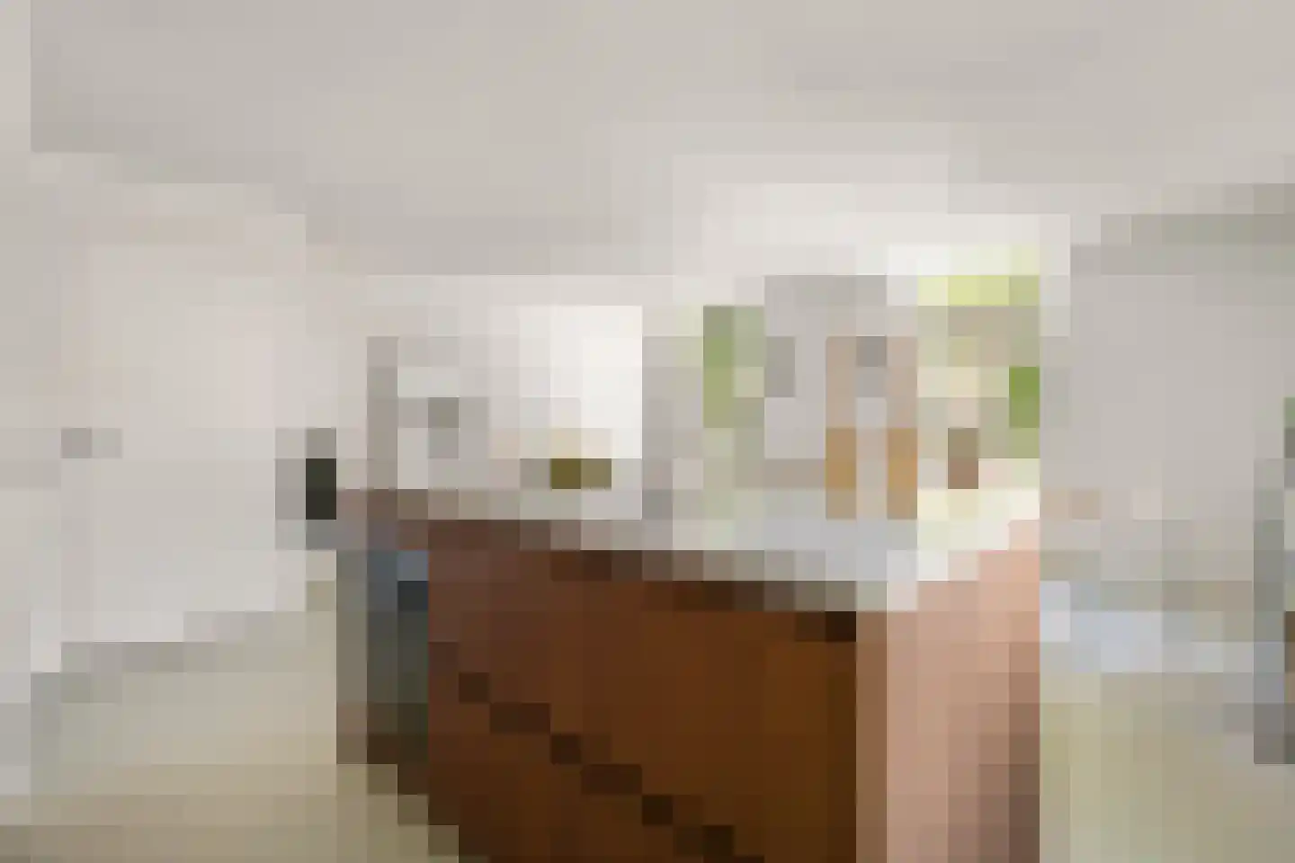 Van Beuningenplein 112 Amsterdam thumbnail 9