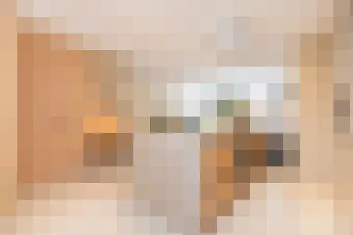 Van Beuningenplein 126 Amsterdam thumbnail 11