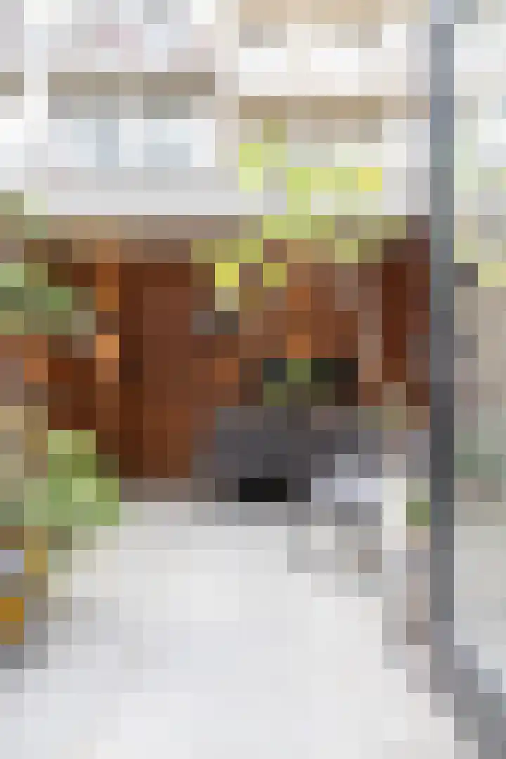 Van Beuningenplein 126 Amsterdam thumbnail 14
