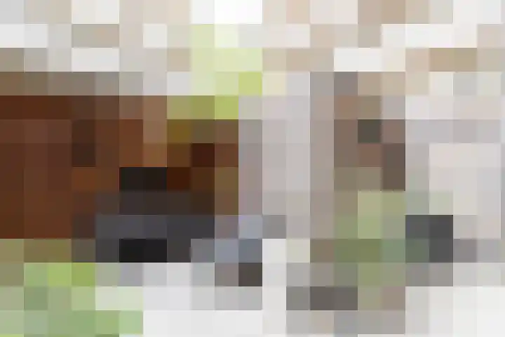 Van Beuningenplein 126 Amsterdam thumbnail 15