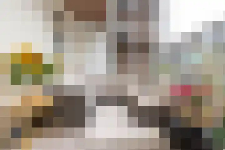 Van Beuningenplein 126 Amsterdam thumbnail 25
