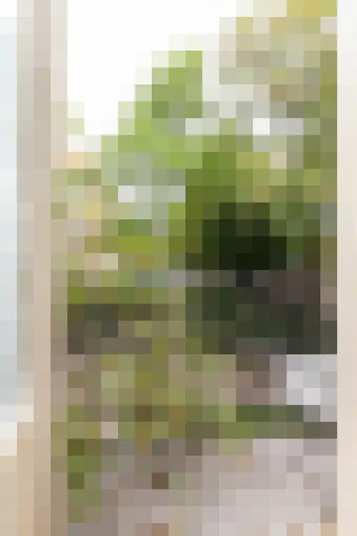Van Beuningenplein 126 Amsterdam thumbnail 29