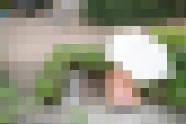 Van Beuningenplein 126 Amsterdam thumbnail 30