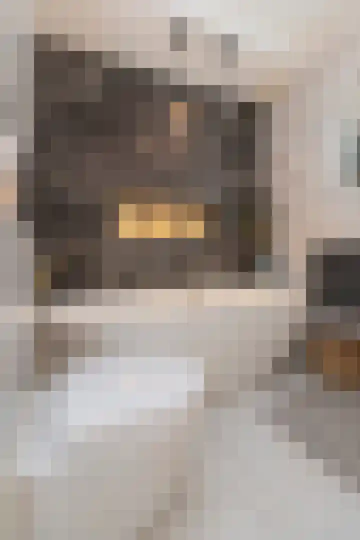 Van Beuningenplein 126 Amsterdam thumbnail 31