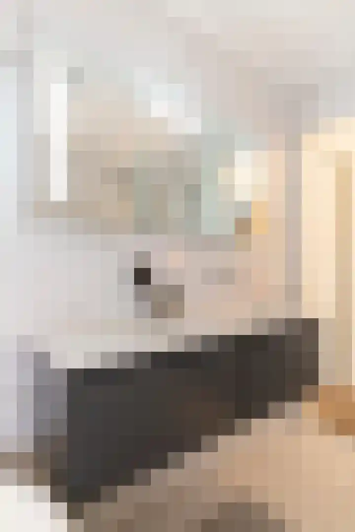 Van Beuningenplein 126 Amsterdam thumbnail 32