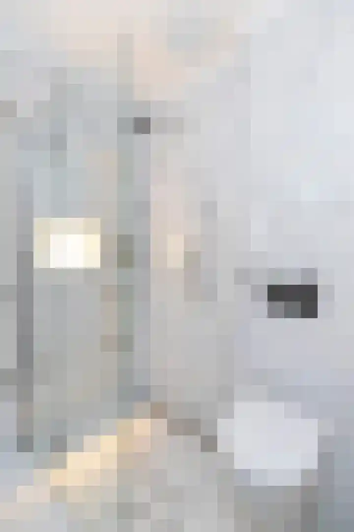 Van Beuningenplein 126 Amsterdam thumbnail 33