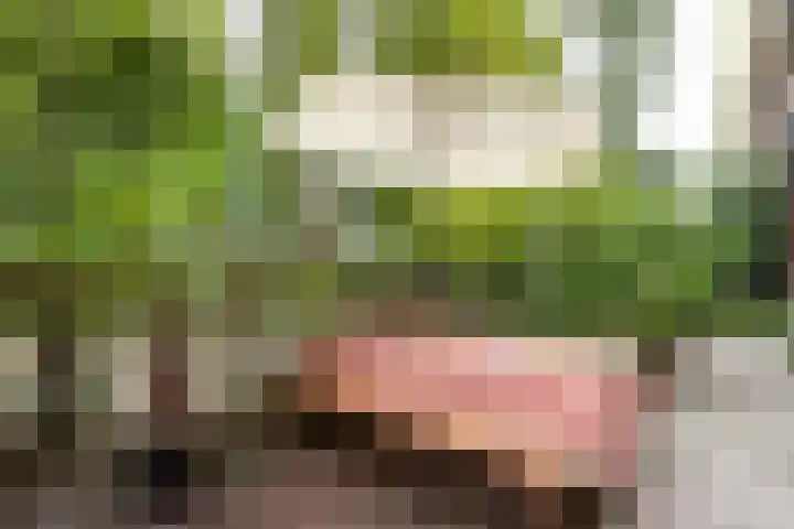 Van Beuningenplein 126 Amsterdam thumbnail 34
