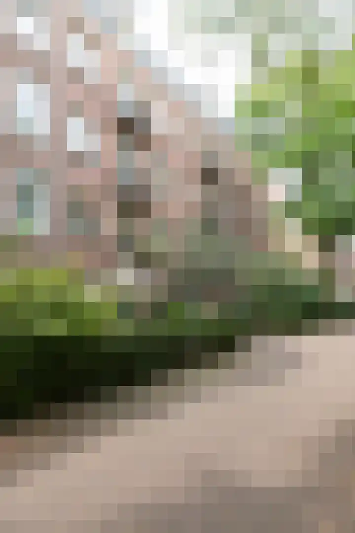 Van Beuningenplein 126 Amsterdam thumbnail 36