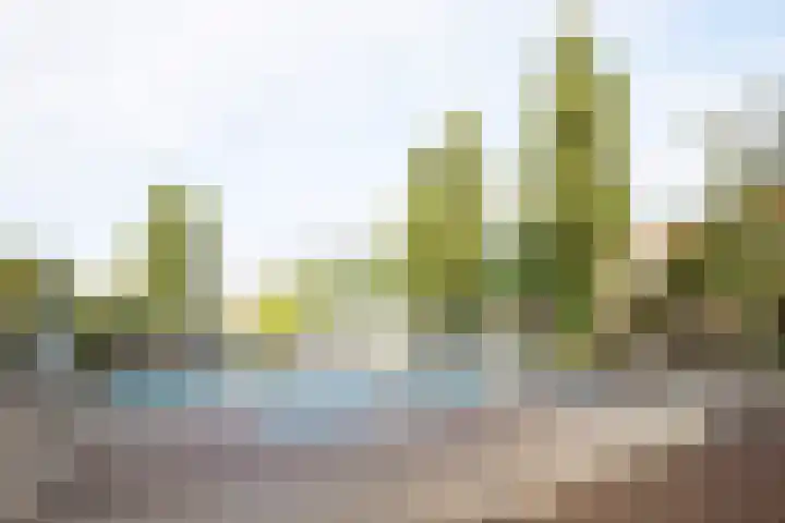 Van Beuningenplein 126 Amsterdam thumbnail 41
