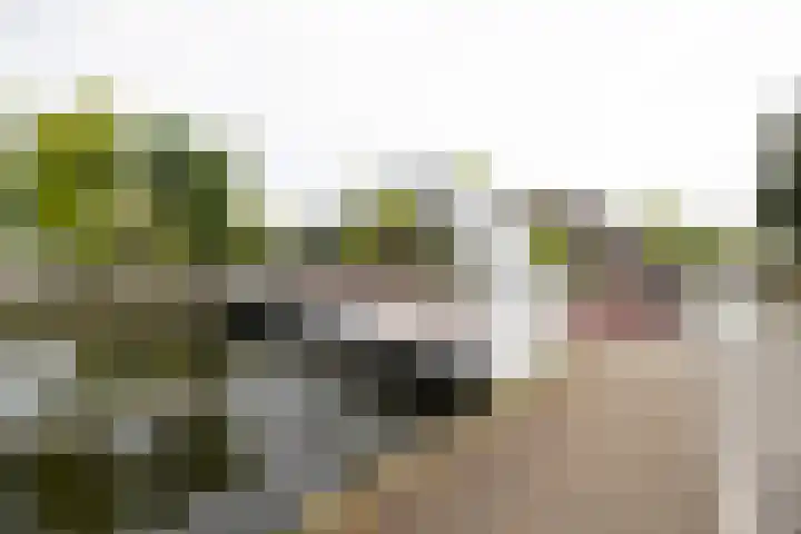Van Beuningenplein 126 Amsterdam thumbnail 42