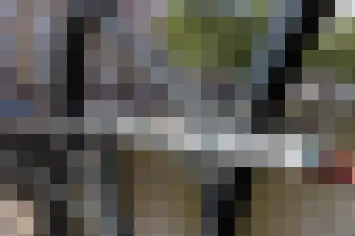 Van Beuningenplein 126 Amsterdam thumbnail 43