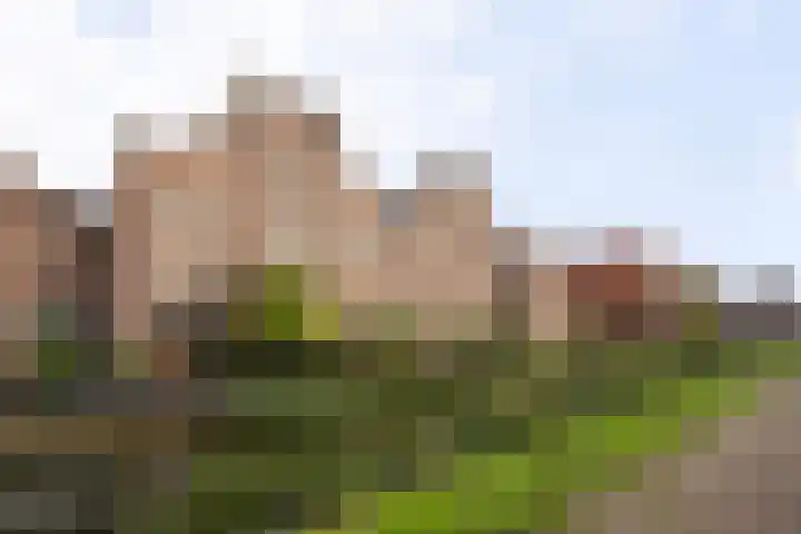 Van Beuningenplein 126 Amsterdam thumbnail 44