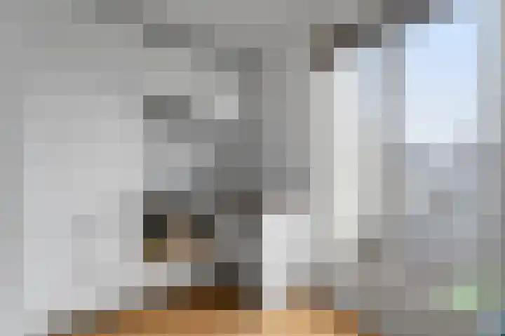 Van Beuningenplein 140 Amsterdam thumbnail 12