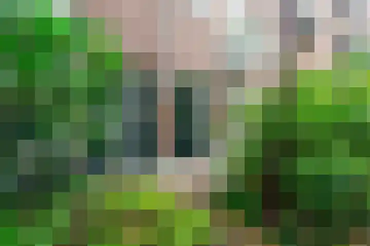 Van Beuningenplein 140 Amsterdam thumbnail 20