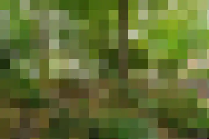 Van Beuningenplein 140 Amsterdam thumbnail 23