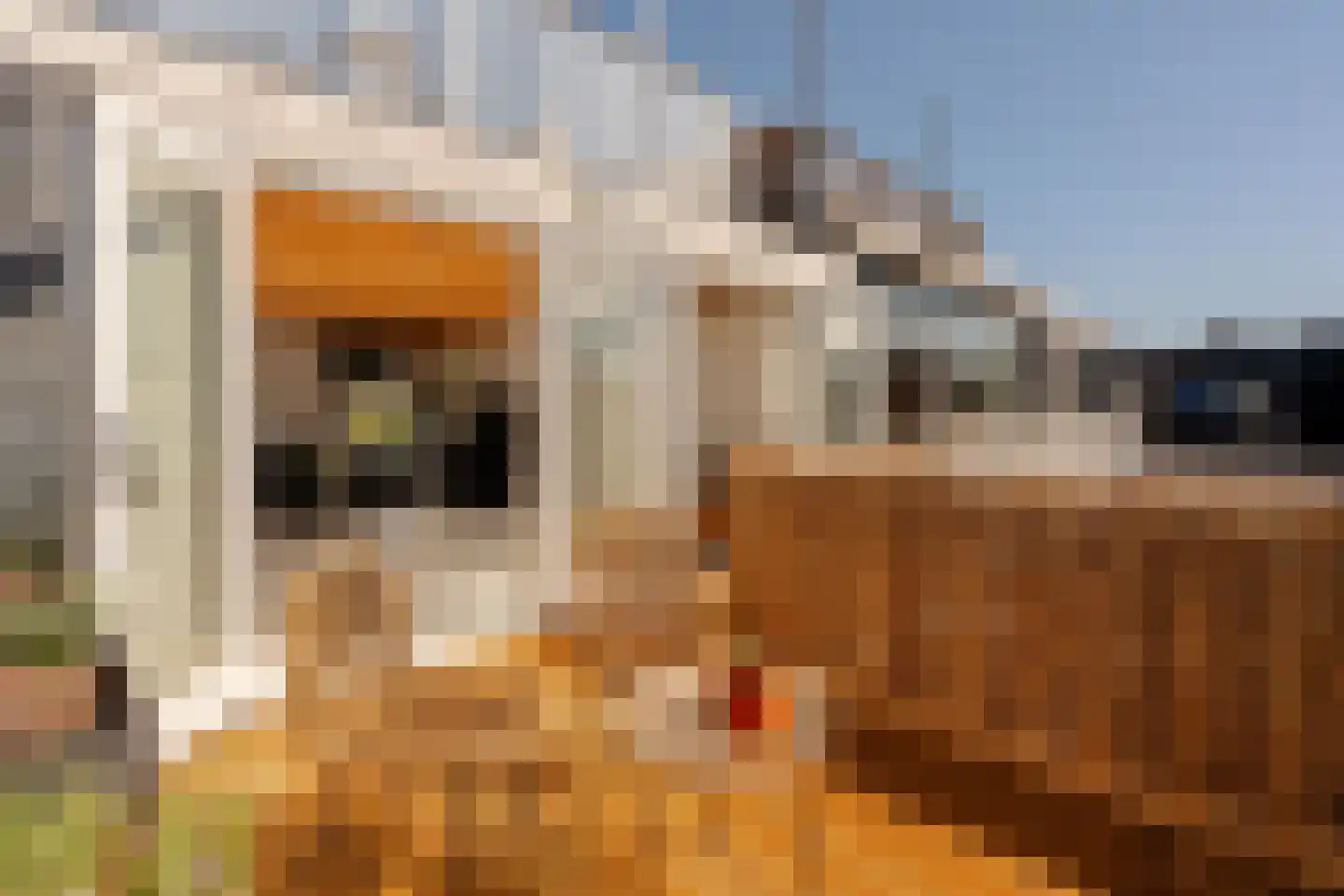 Van Beuningenplein 178 Amsterdam thumbnail 7