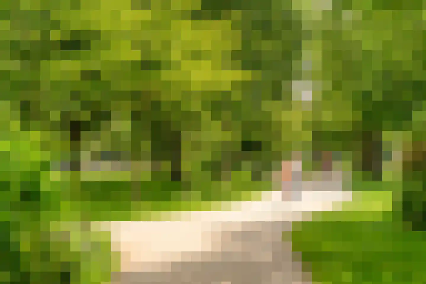 Van Beuningenplein 184 Amsterdam thumbnail 43
