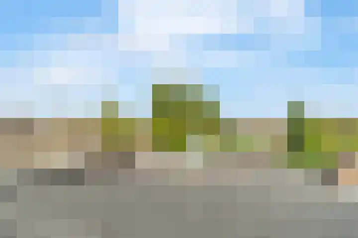 Van Beuningenplein 194 Amsterdam thumbnail 31