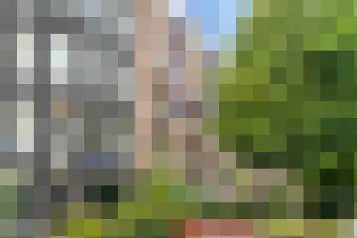 Van Beuningenplein 194 Amsterdam thumbnail 4