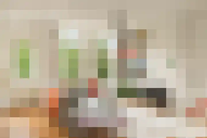 Van Beuningenplein 194 Amsterdam thumbnail 6