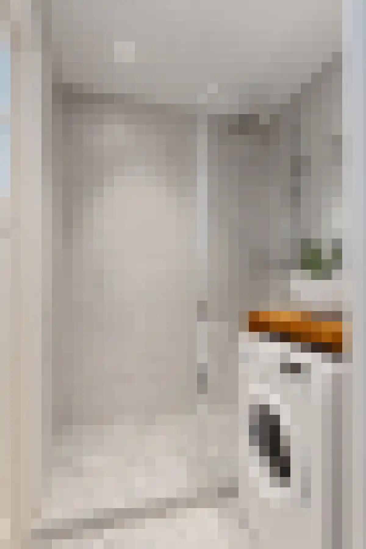 Van Beuningenstraat 11 BGR Rotterdam thumbnail 5