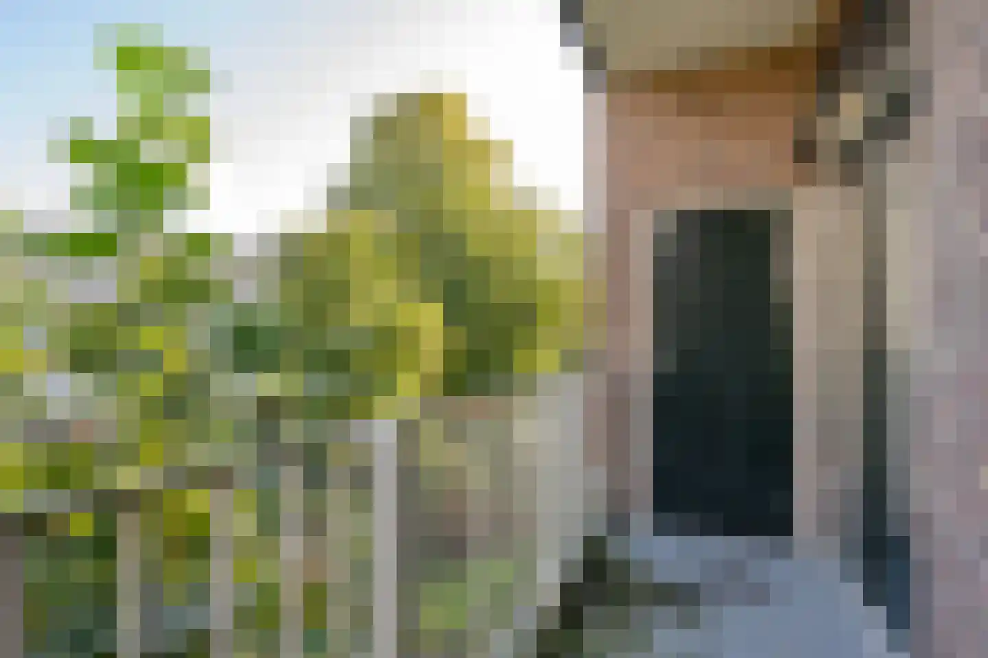 Van Beuningenstraat 14 B Rotterdam thumbnail 16