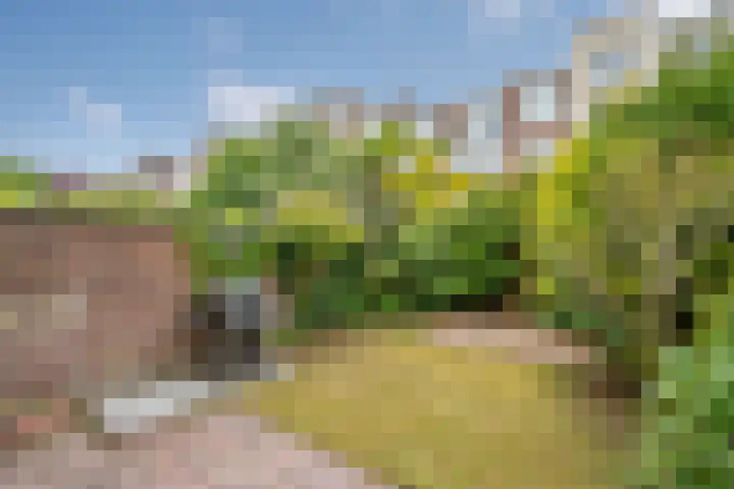 Van Beuningenstraat 19 Den Haag thumbnail 15