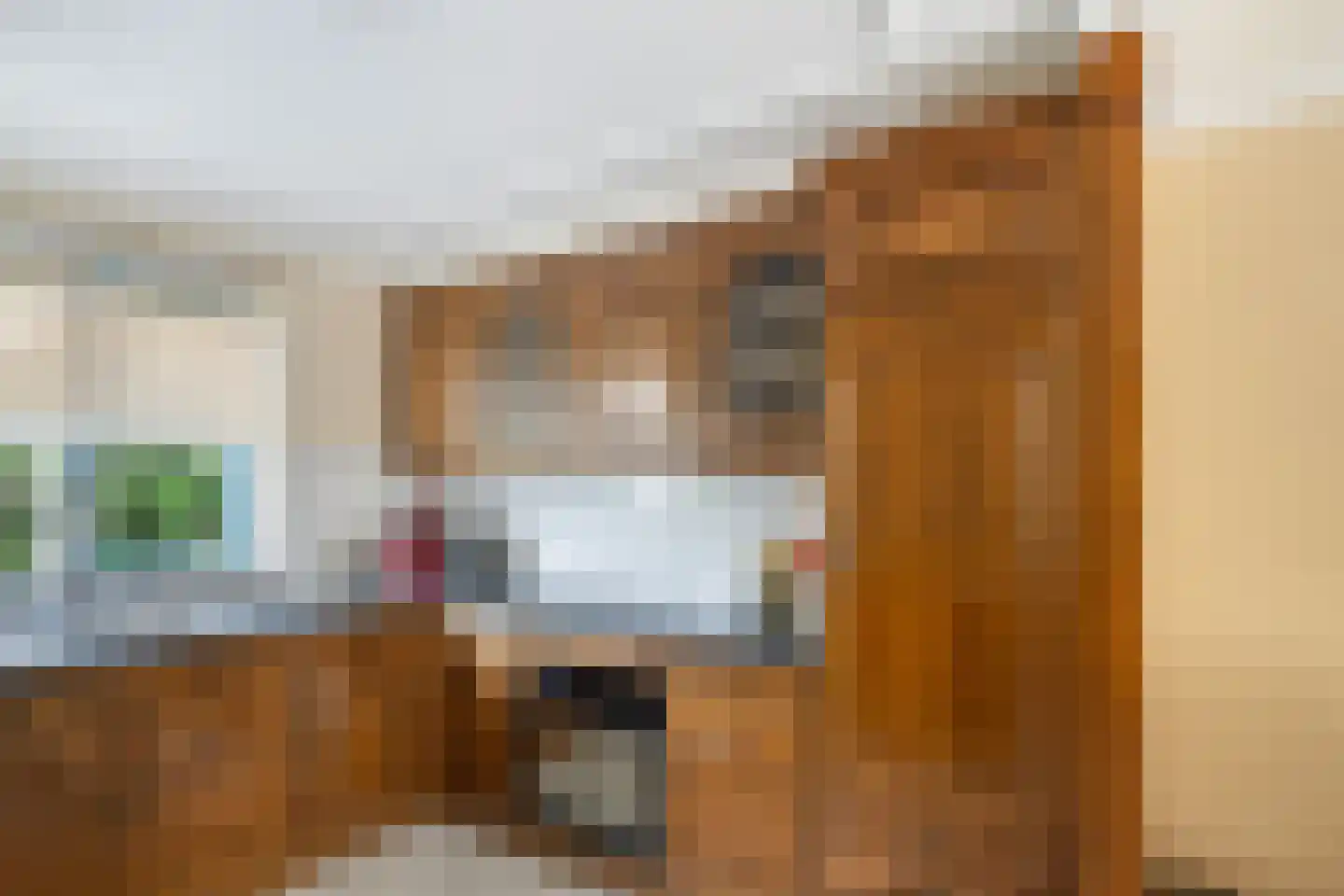 van Beuningenstraat 2 Maasdijk thumbnail 11