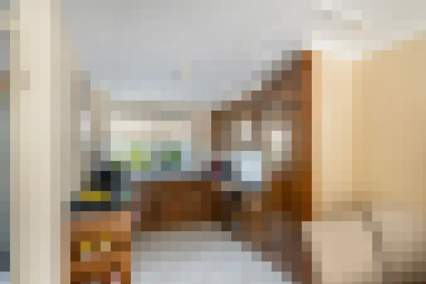 van Beuningenstraat 2 Maasdijk thumbnail 12