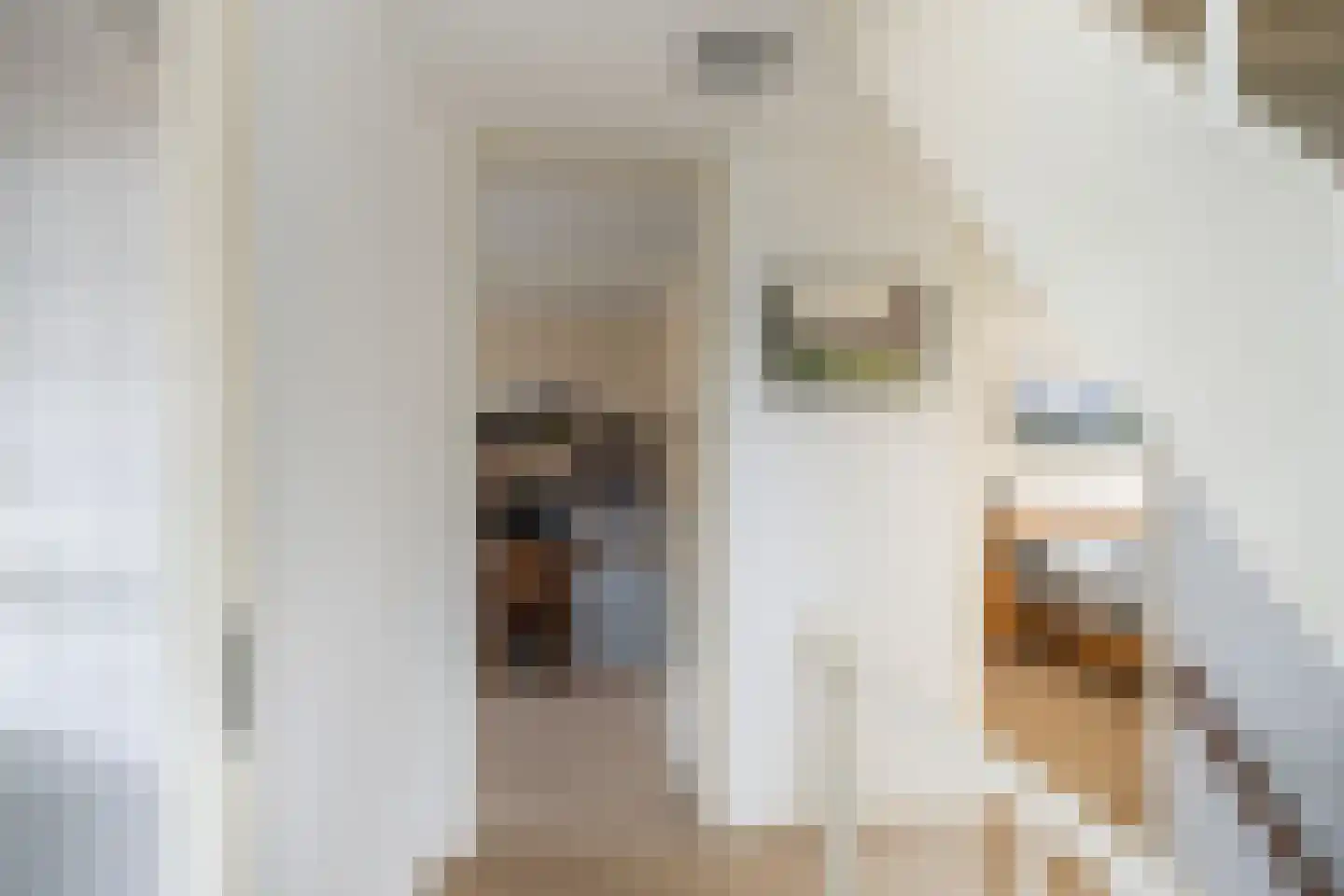 van Beuningenstraat 2 Maasdijk thumbnail 18