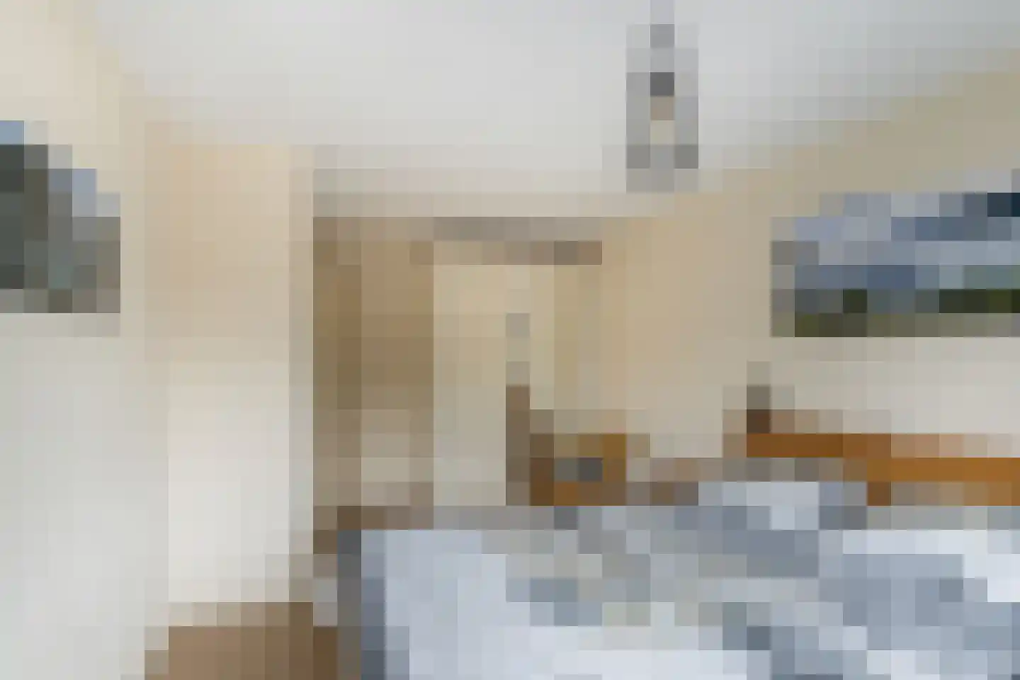van Beuningenstraat 2 Maasdijk thumbnail 19