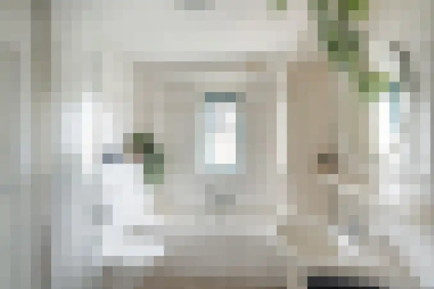 van Beuningenstraat 2 Maasdijk thumbnail 26