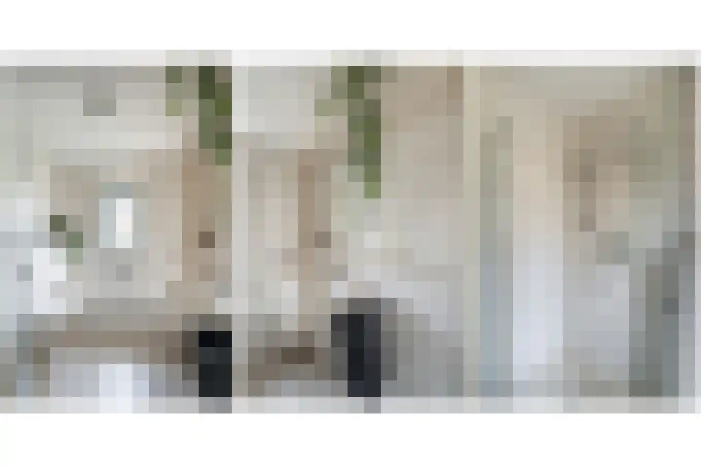van Beuningenstraat 2 Maasdijk thumbnail 27