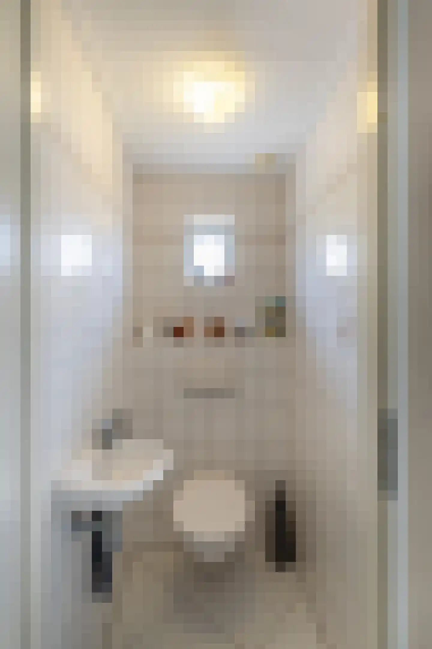 van Beuningenstraat 2 Maasdijk thumbnail 29