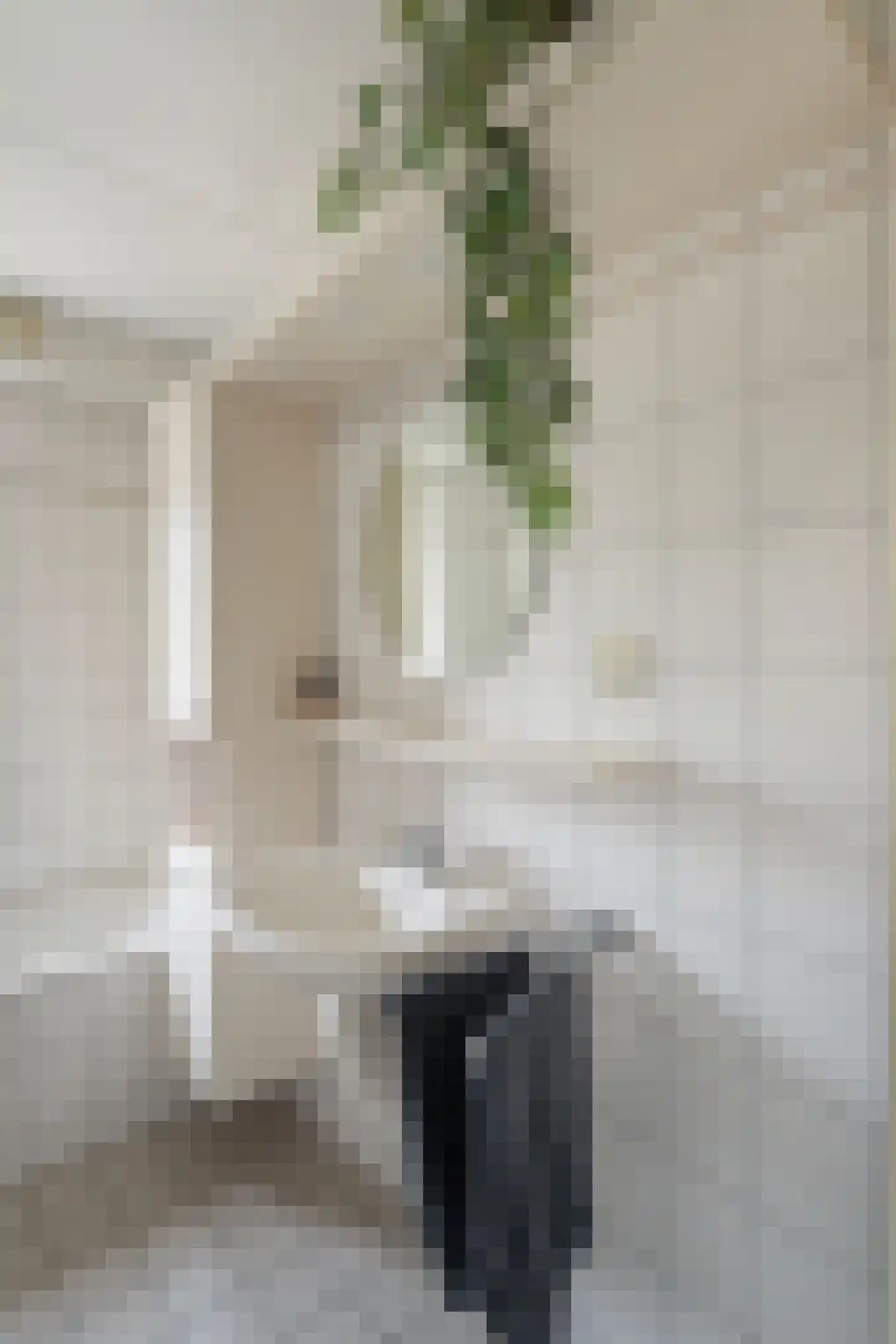 van Beuningenstraat 2 Maasdijk thumbnail 30