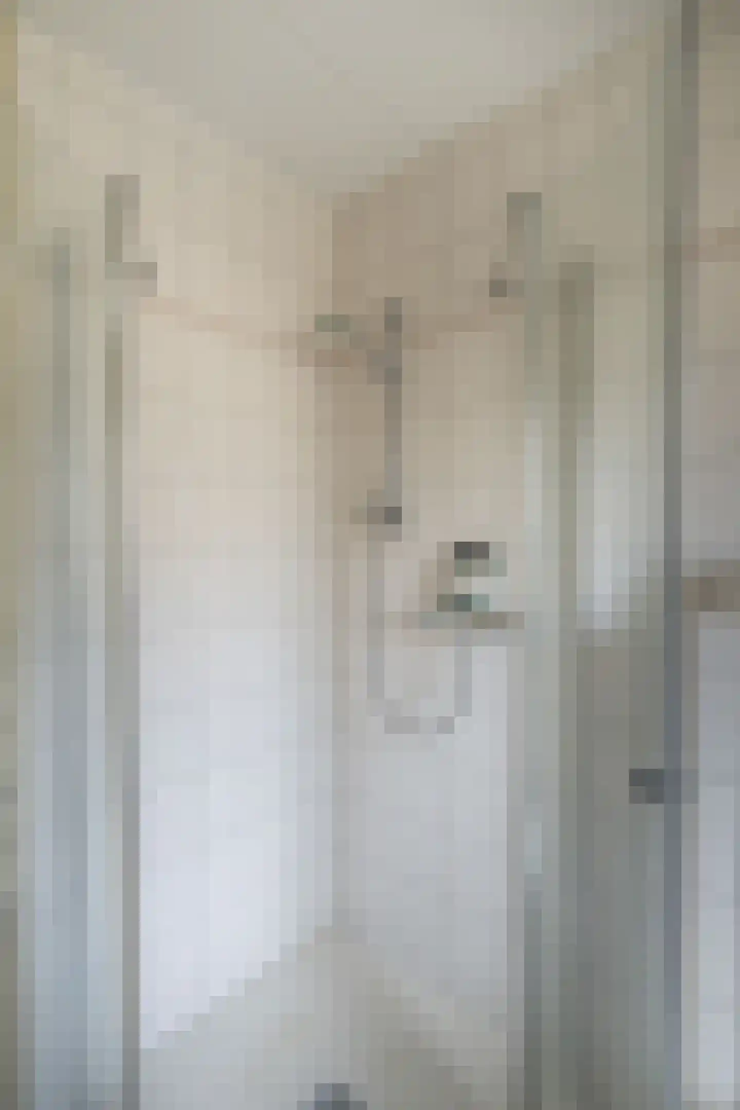 van Beuningenstraat 2 Maasdijk thumbnail 31