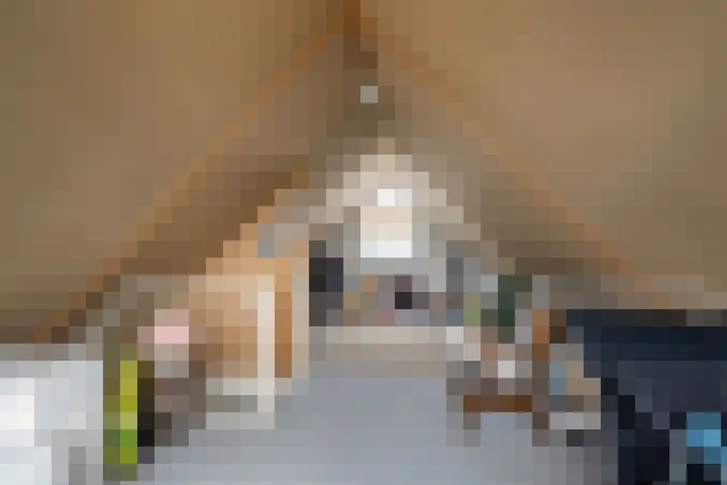 van Beuningenstraat 2 Maasdijk thumbnail 33