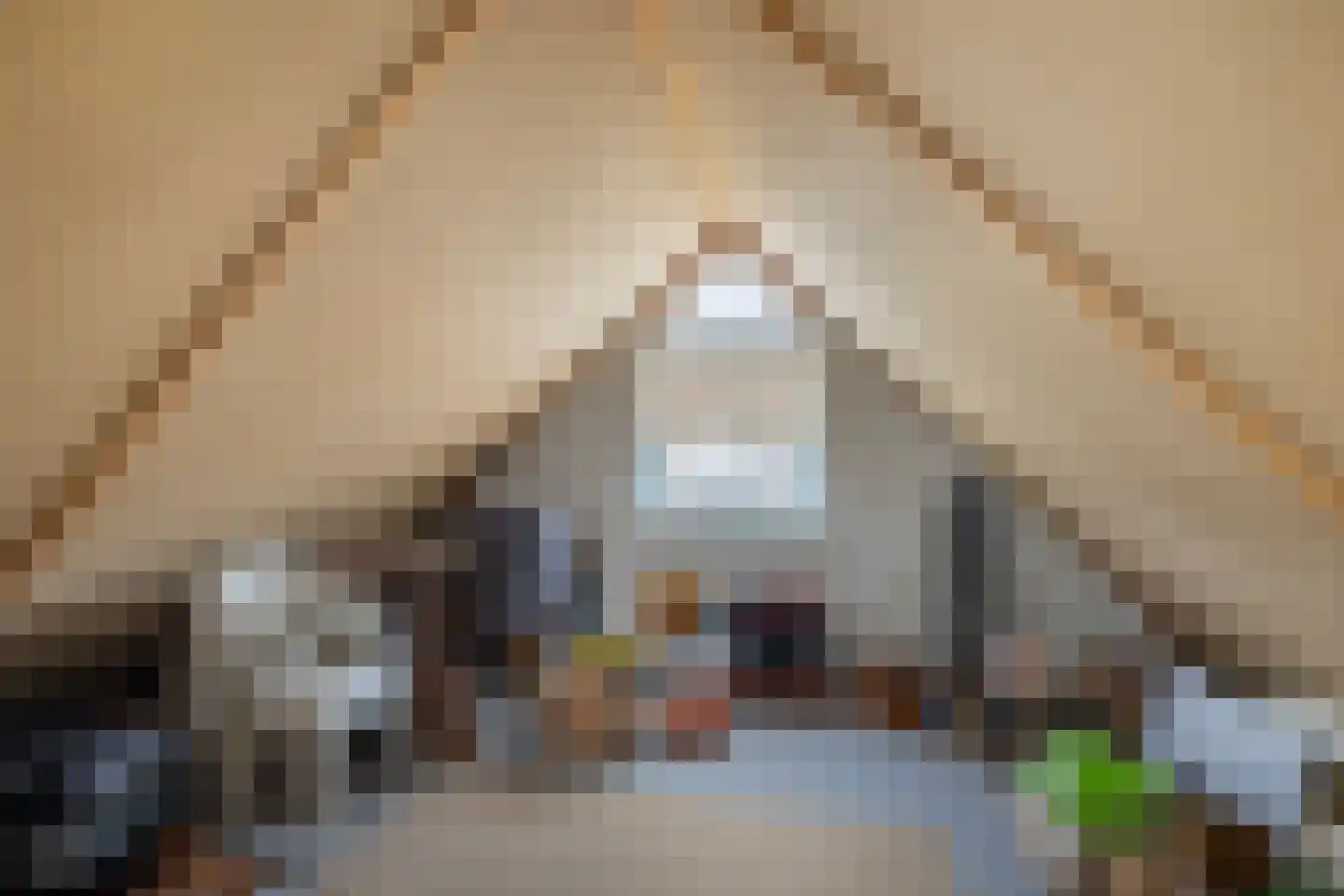 van Beuningenstraat 2 Maasdijk thumbnail 35