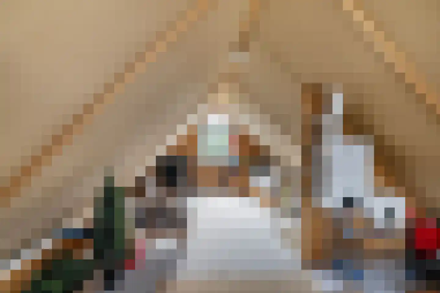 van Beuningenstraat 2 Maasdijk thumbnail 36