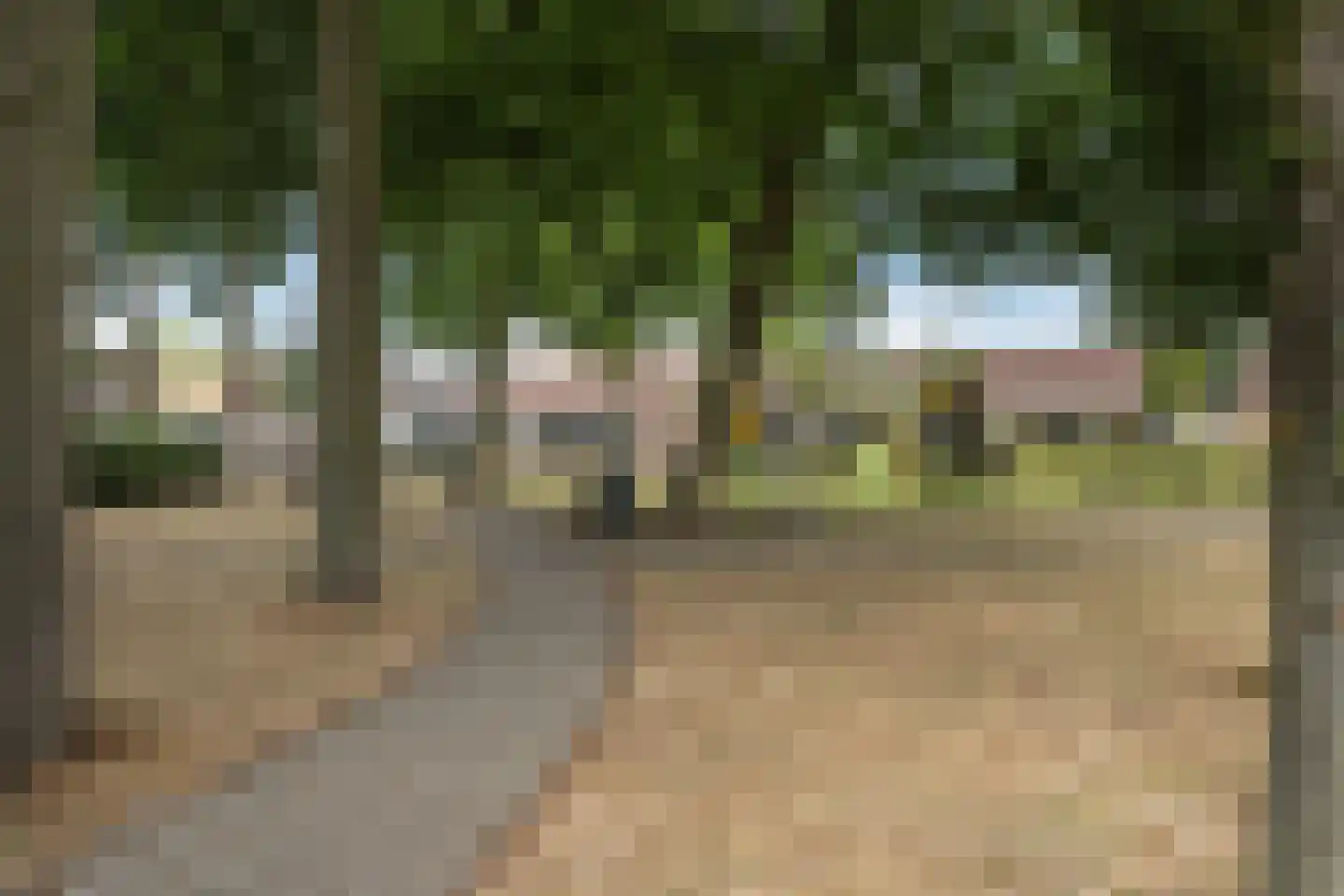 van Beuningenstraat 2 Maasdijk thumbnail 40