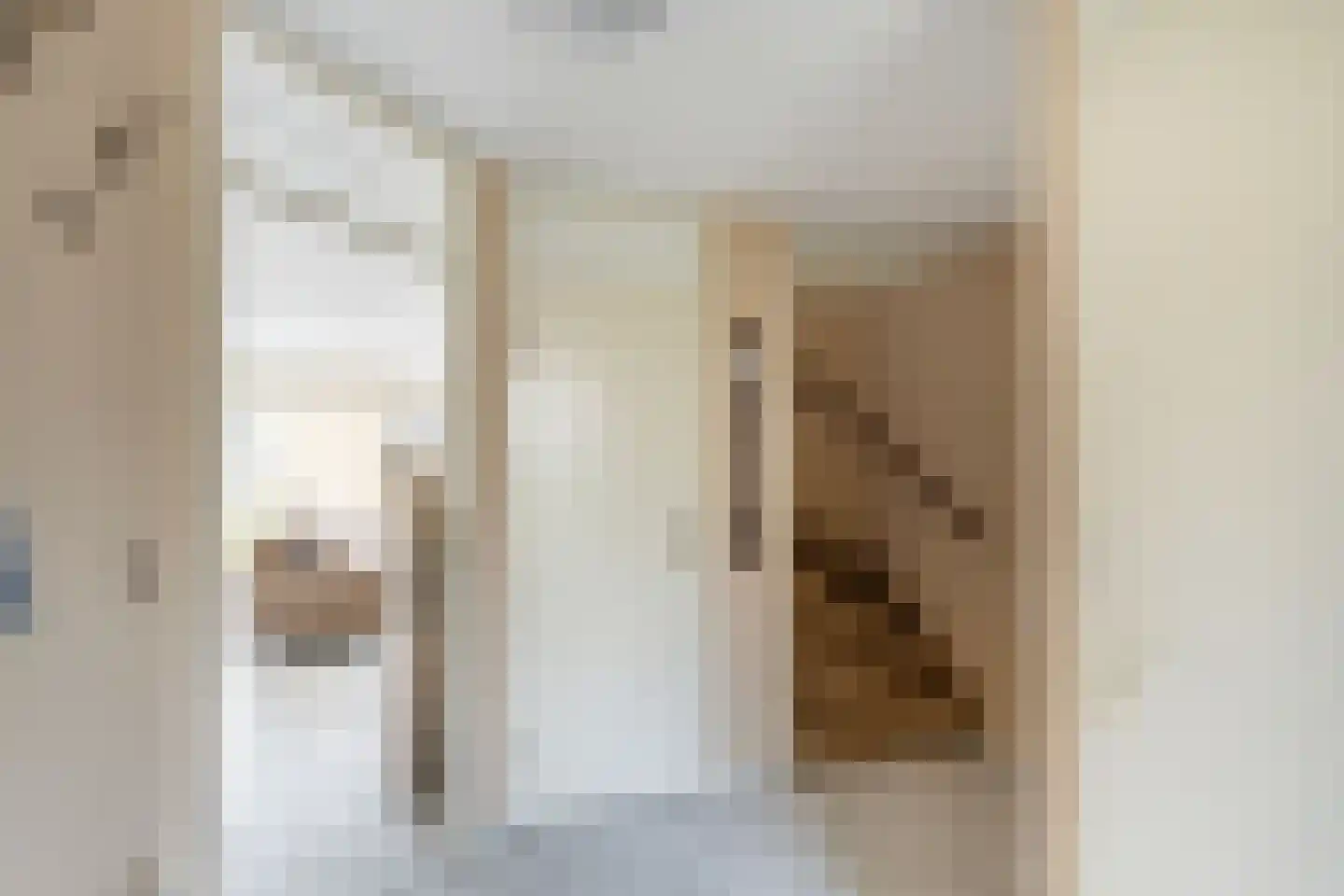 van Beuningenstraat 2 Maasdijk thumbnail 8