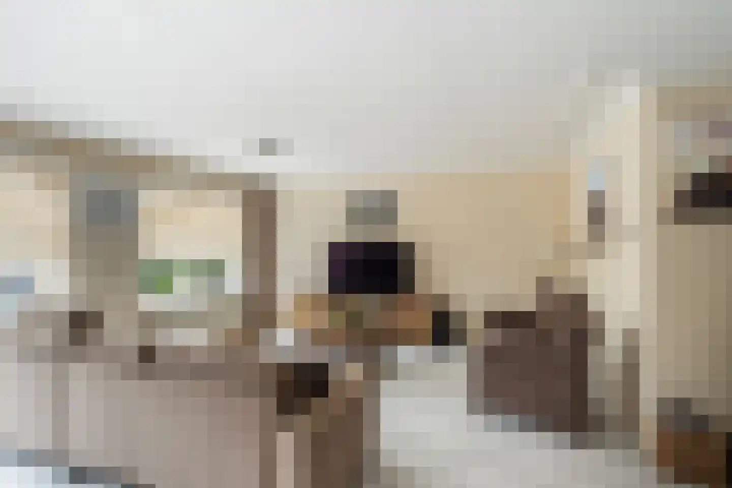 van Beuningenstraat 2 Maasdijk thumbnail 9