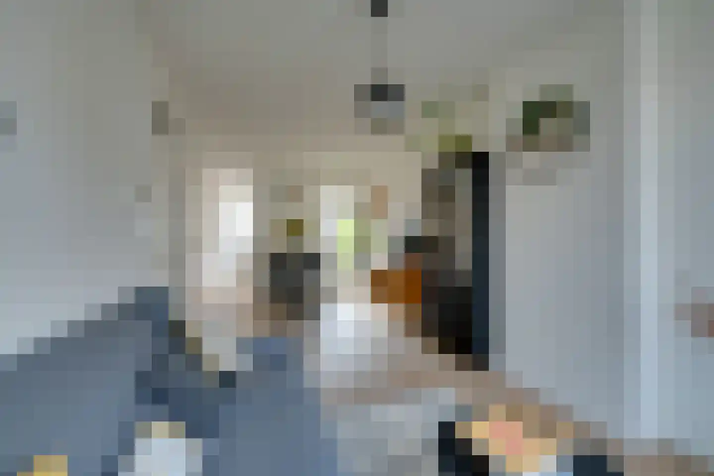 Van Beuningenstraat 205 3 Amsterdam thumbnail 14