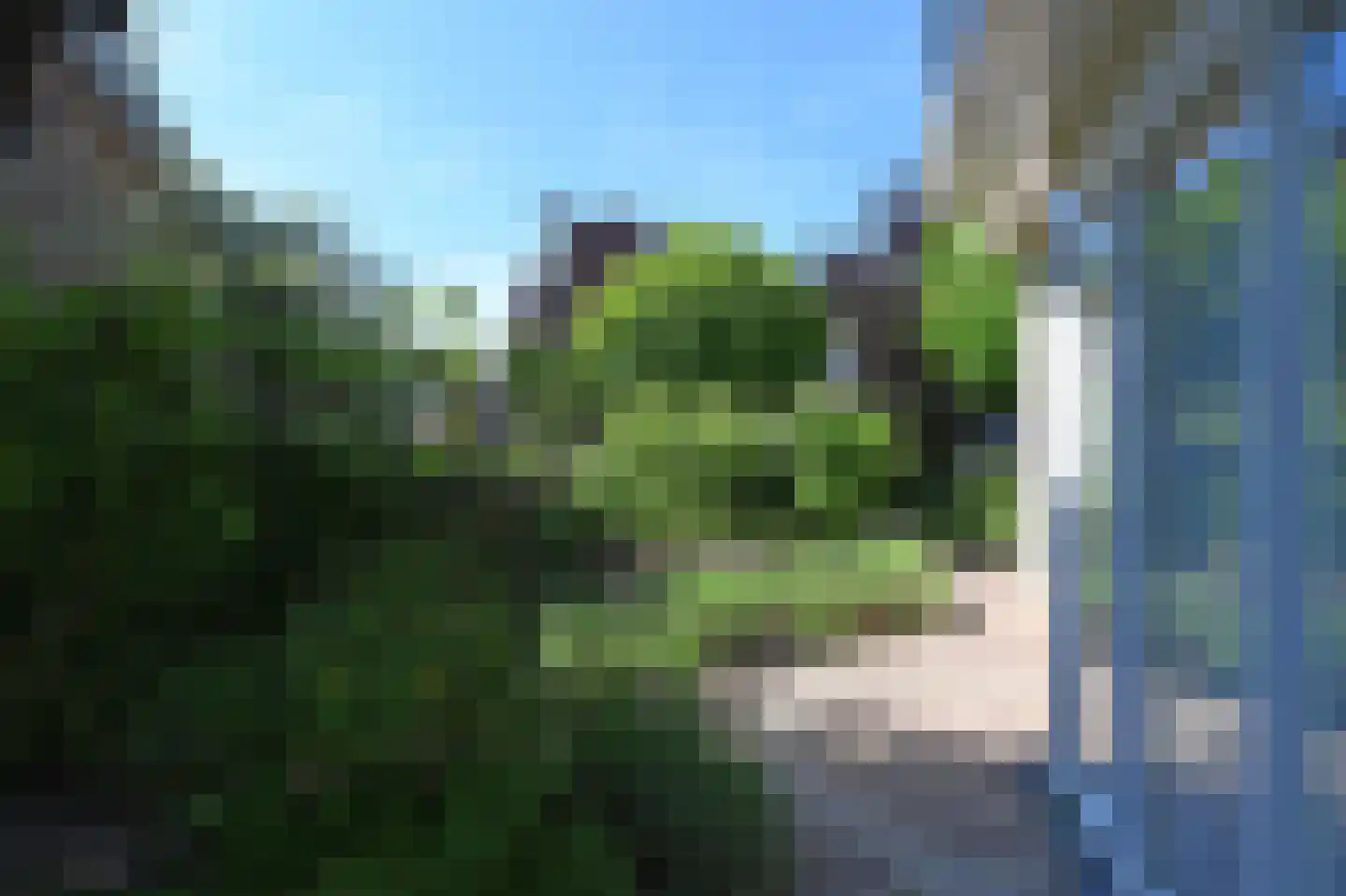 van Beuningenstraat 21 Maasdijk thumbnail 12