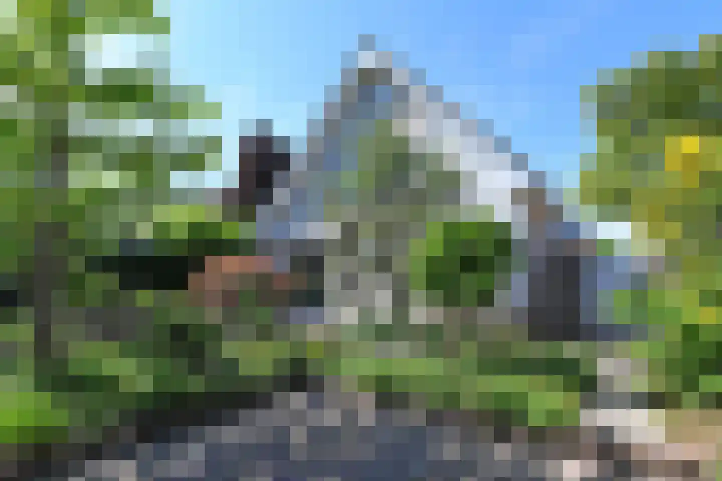 van Beuningenstraat 21 Maasdijk thumbnail 14