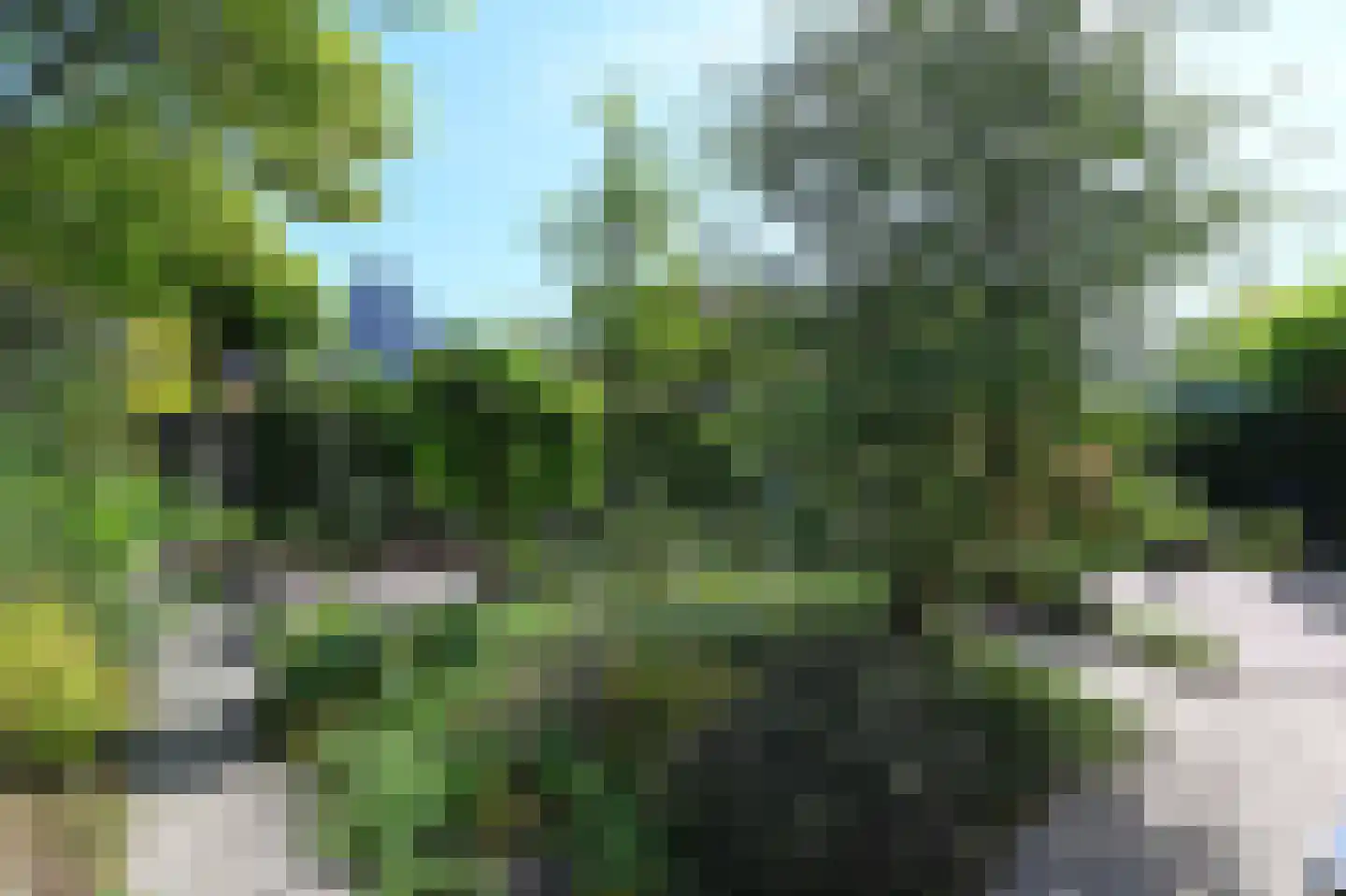 van Beuningenstraat 21 Maasdijk thumbnail 15
