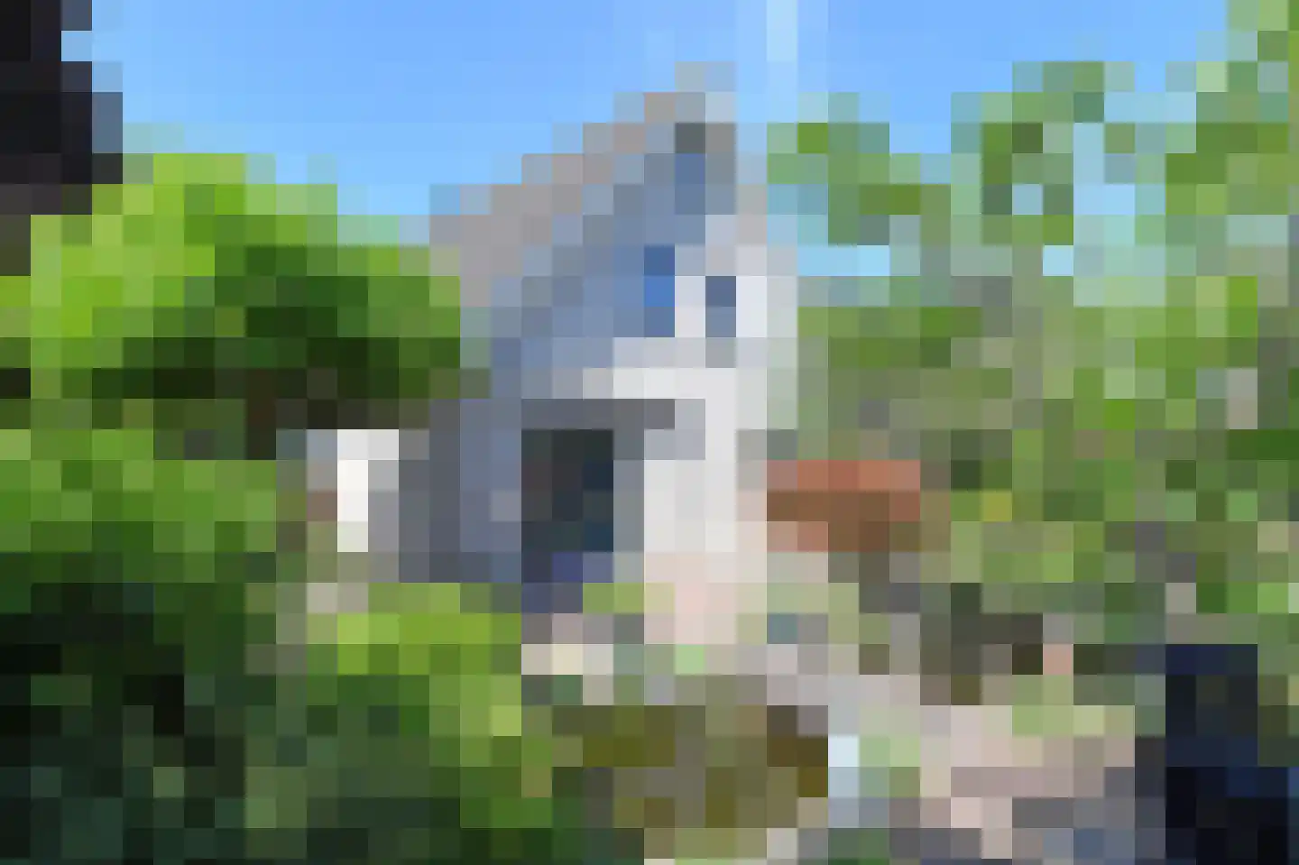 van Beuningenstraat 21 Maasdijk thumbnail 19