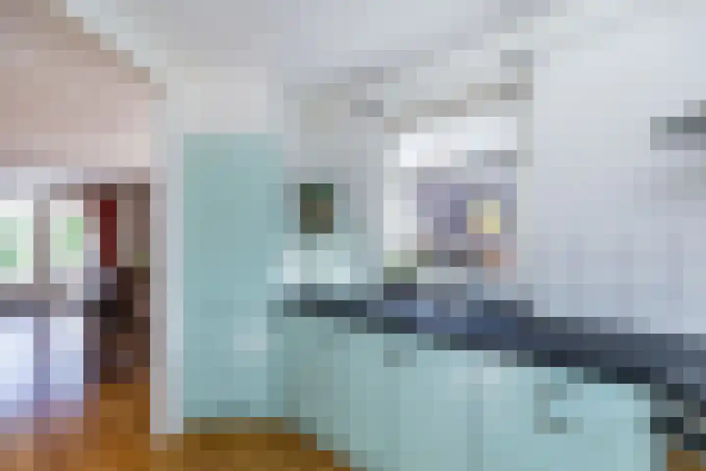 van Beuningenstraat 21 Maasdijk thumbnail 23